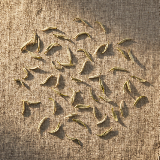 Hojas y yemas de té blanco sobre lienzo de lino con luz dorada natural, composición minimalista